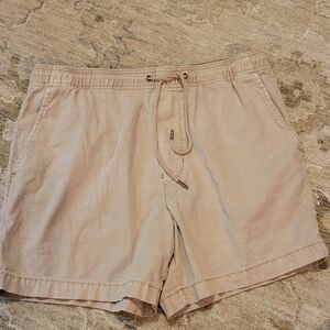 American Eagle Outfitters Tan Men Shorts Flex